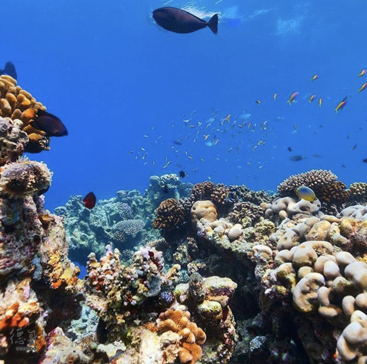 马尔代夫拖尾沙滩推荐,马尔代夫哪些岛带拖尾沙滩