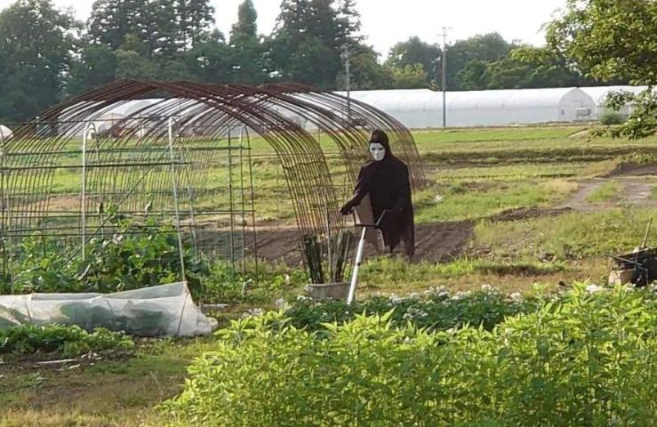 浜洪笩澶ф垬璋佽兘鎵撹耽,浜洪笩鎴樹簤