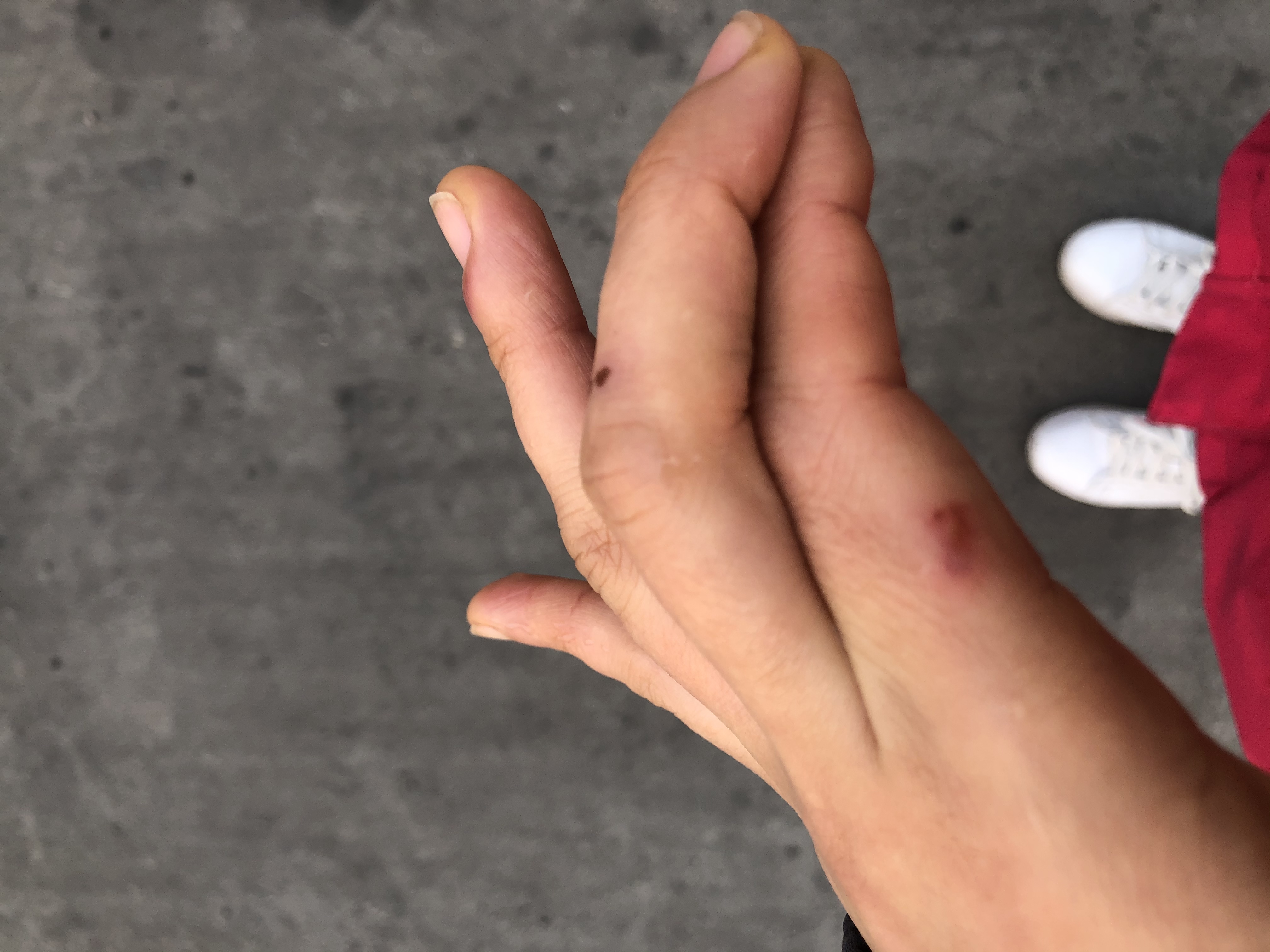 生鲜仓库分拣员一天几个小时,生鲜分拣员上班真实感受