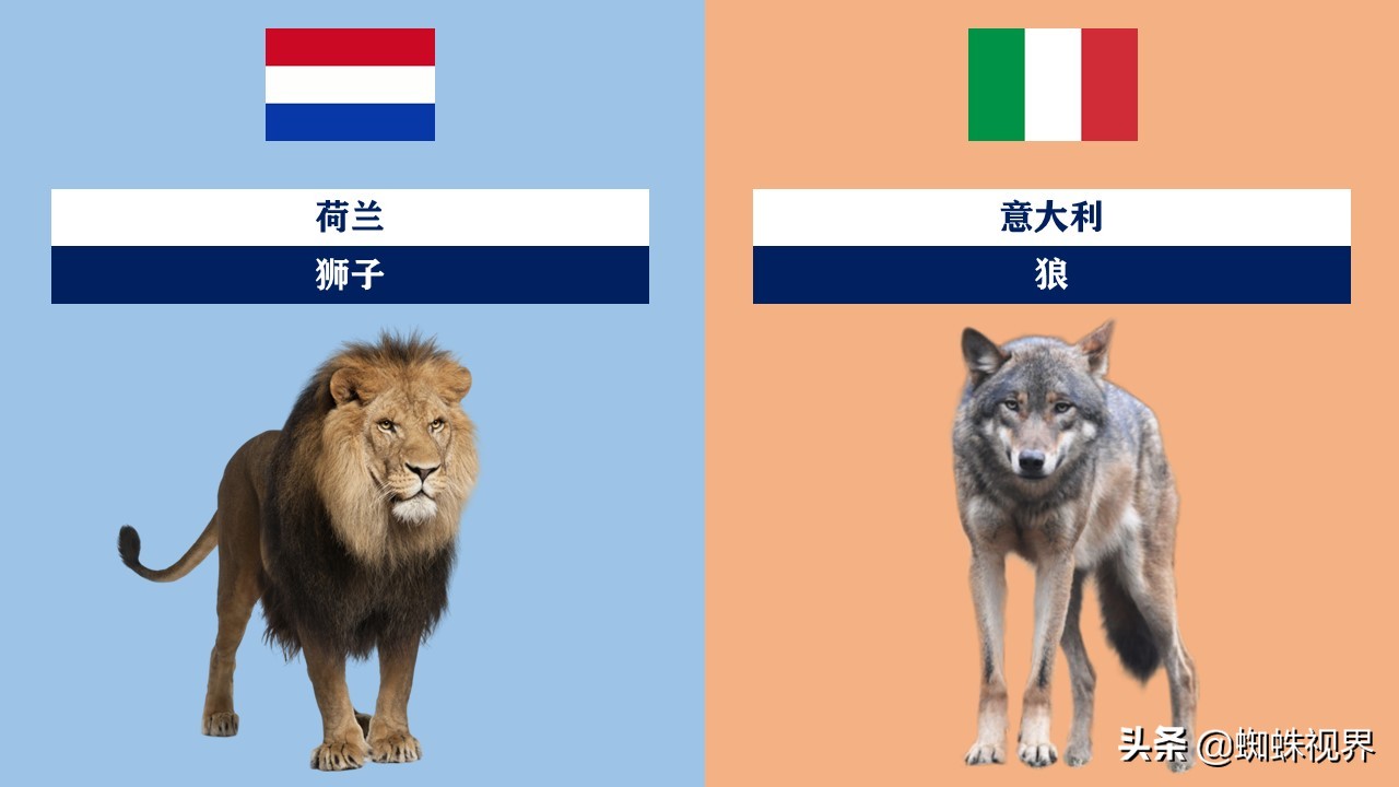 60秒认识中国55项世界遗产,世界各国的代表动物分别是