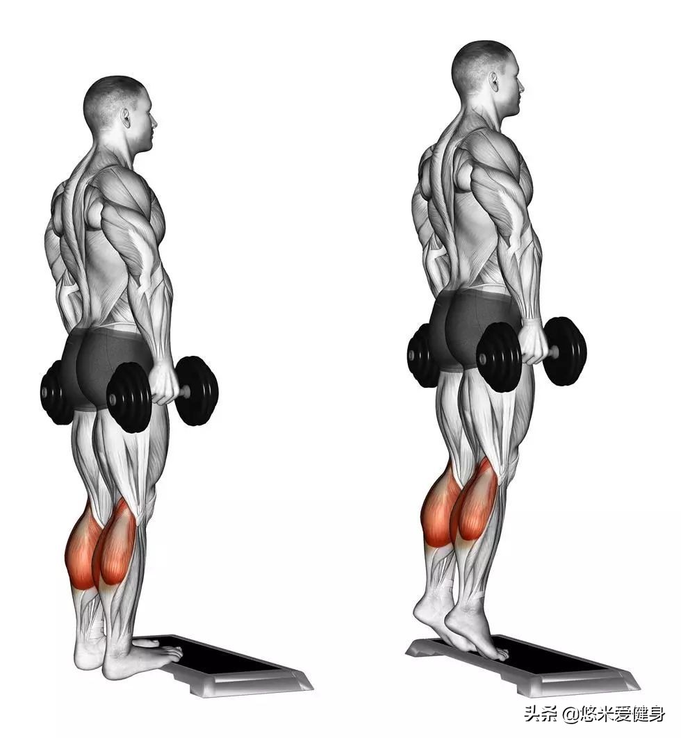 体育生在家哑铃怎么练腿部力量,如何用两个哑铃练腿部肌肉