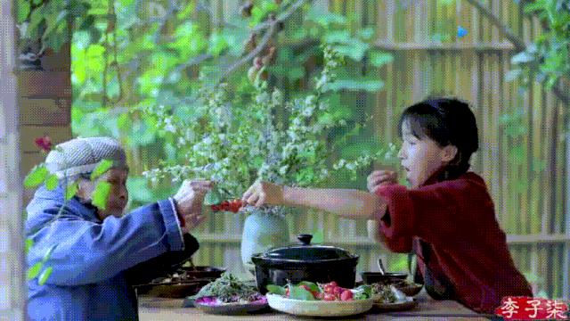 看了李子柒的视频的感受,看完李子柒后的感受