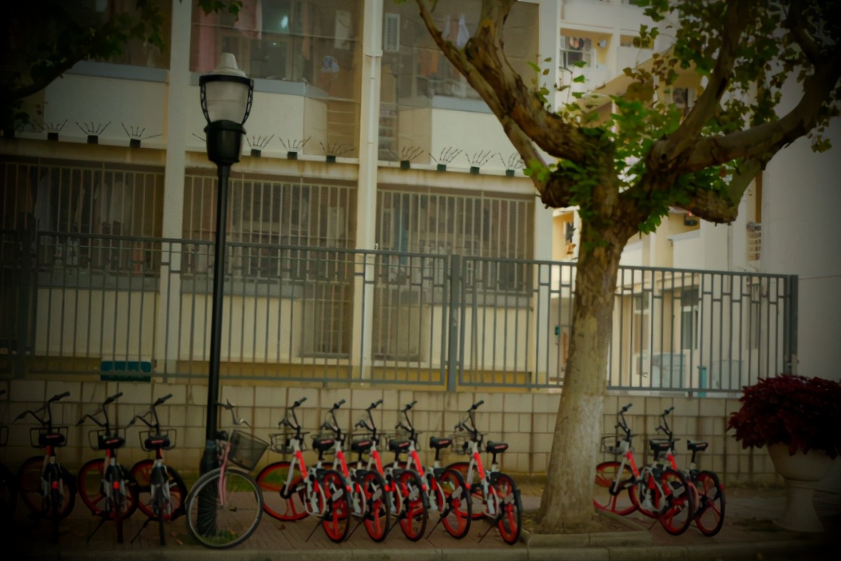 南京最难吃的大学食堂,最好吃大学食堂