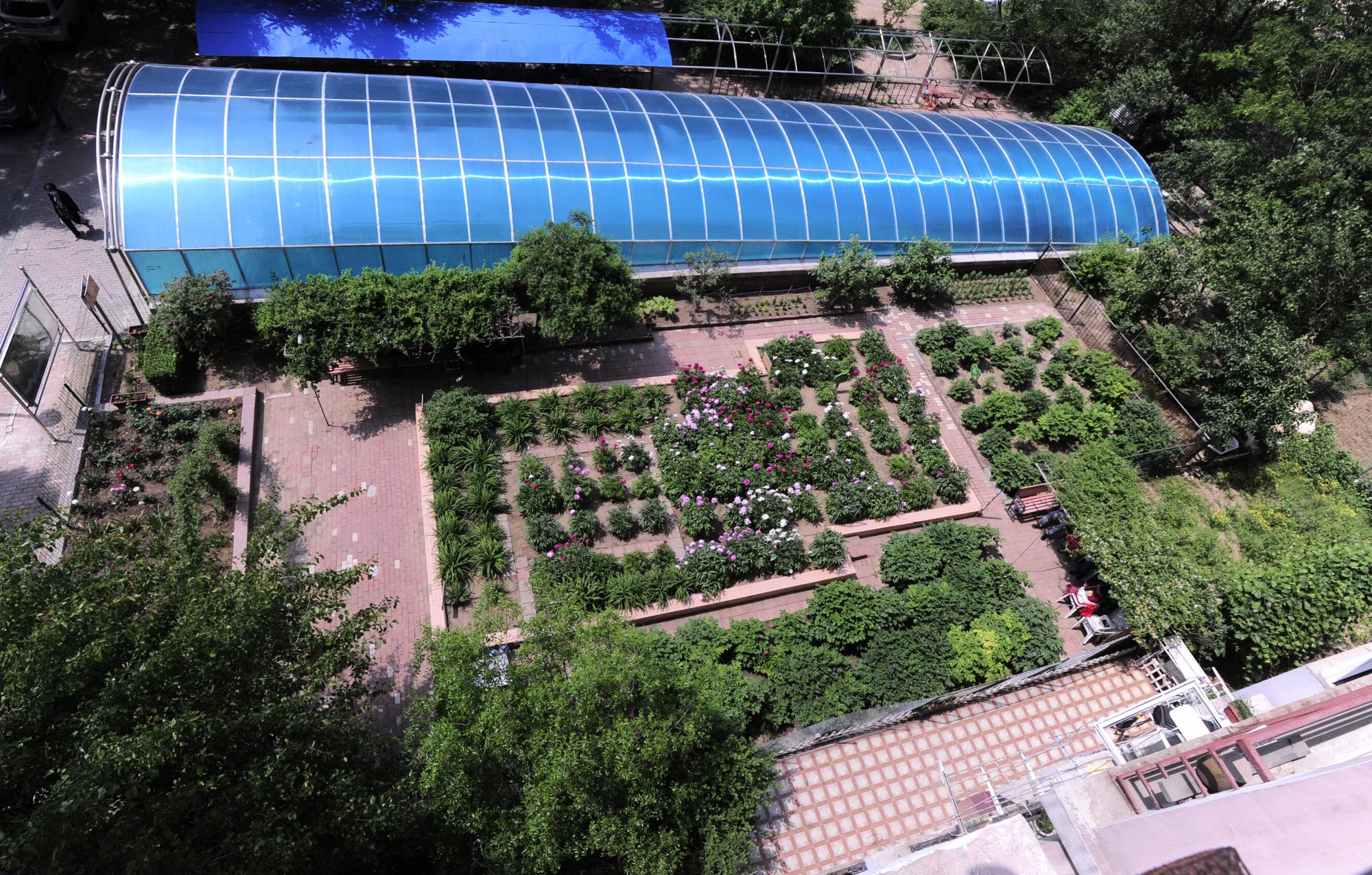 沈阳90岁老人自费建花园如今繁花似锦