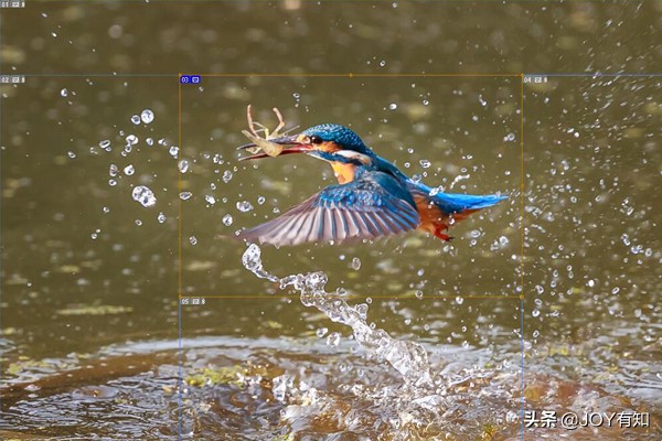 Photoshop切片：教你如何创建切片，很简单