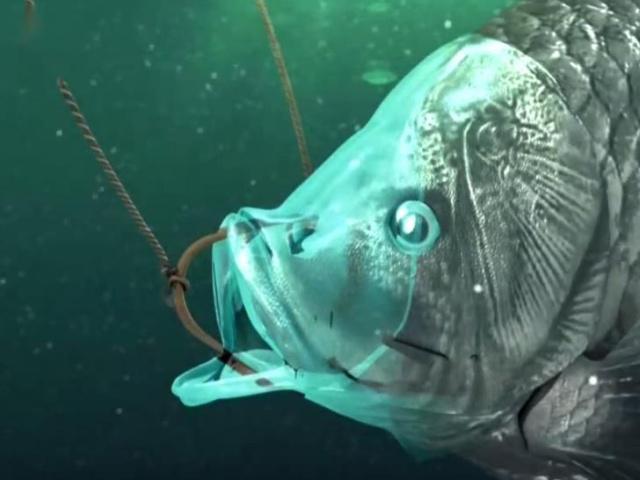 幻书启世录爱丽丝原型,幻书启示录所有角色排名