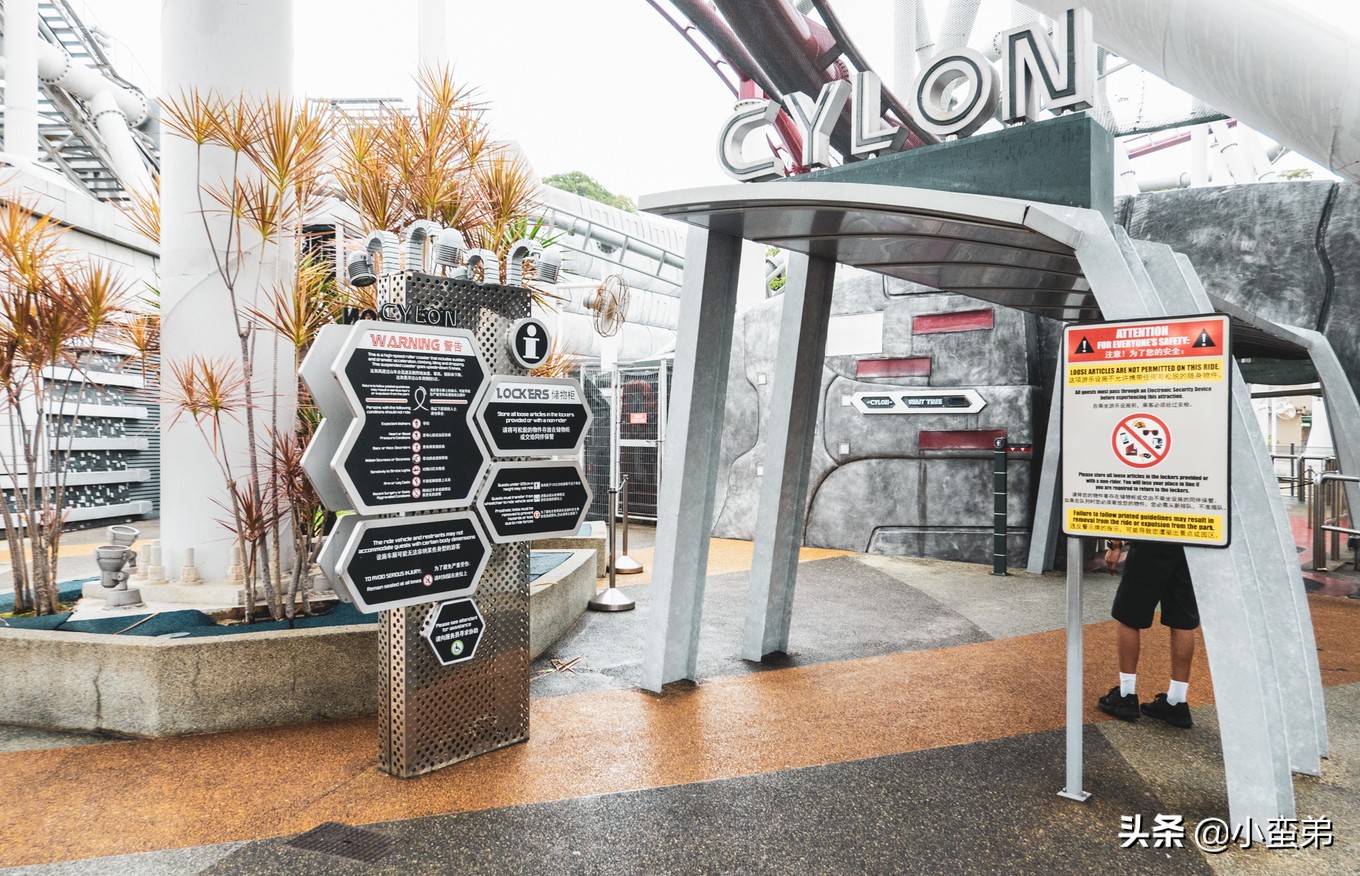 5年之许，小白逆袭重返新加坡