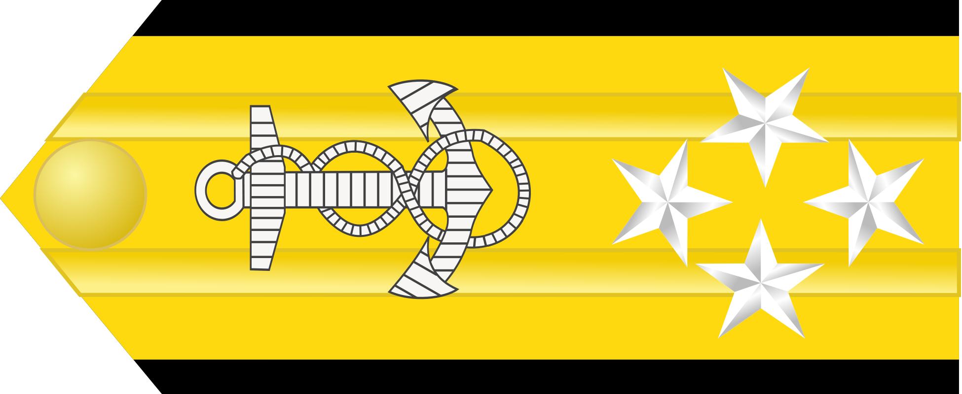 巴西军队标志,巴西海军军衔