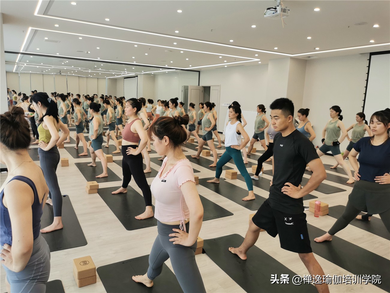 瑜伽教练培训都学习哪种类的瑜伽,瑜伽教练培训都教什么课程呢