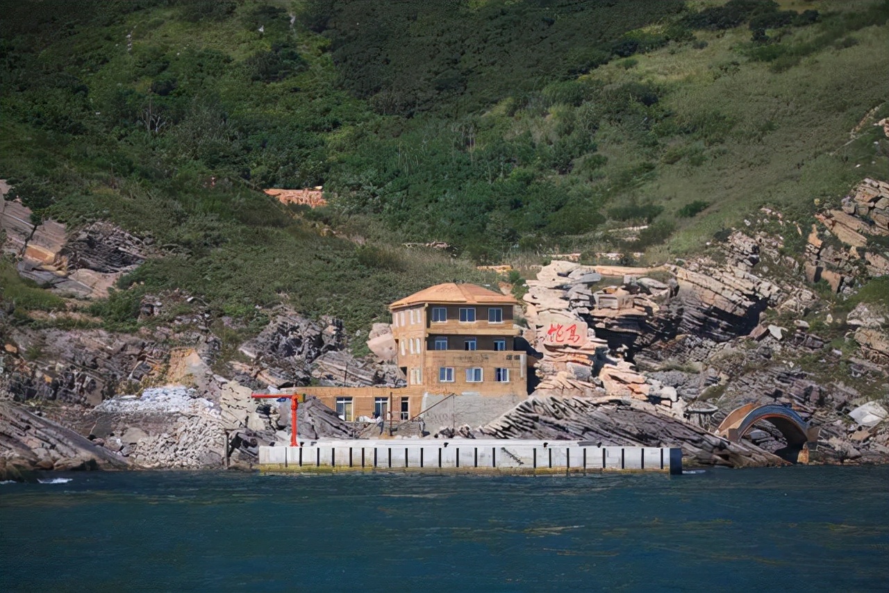 蜜獾大战眼镜蛇名副其实的蛇克星,大连岛上上万条毒蛇放两只蜜獾