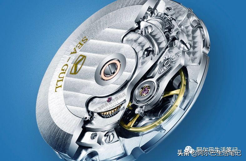 我和我的国国语版全集,我和我的国背面示范