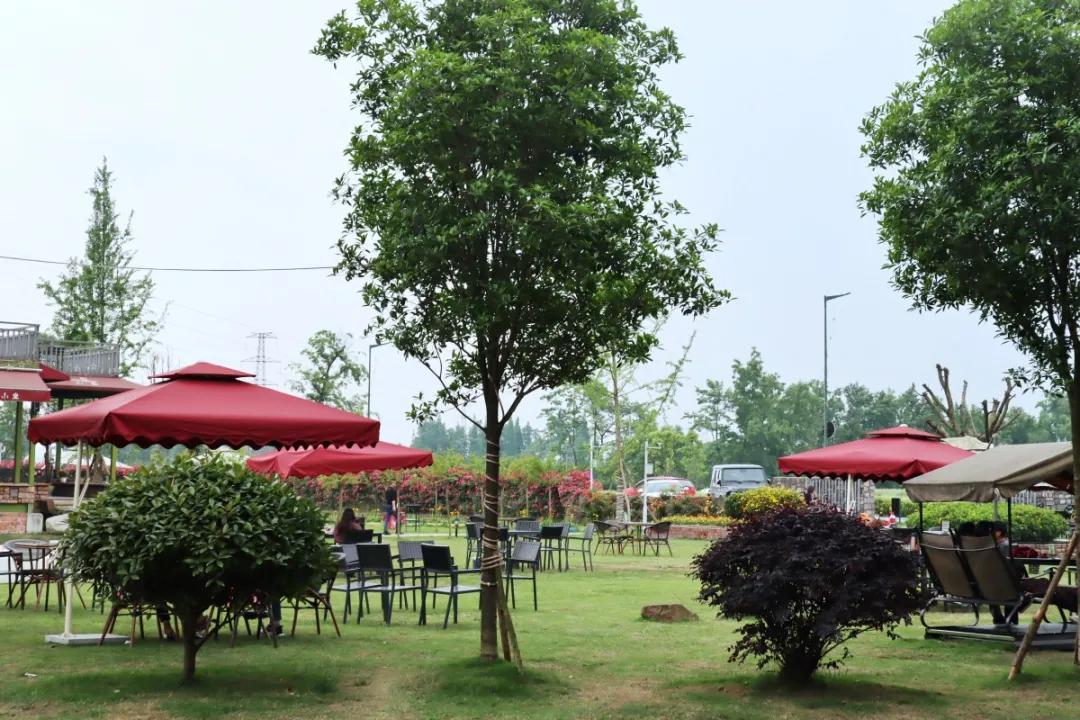 「觅趣小镇新都·原舍绿茵」湖畔泳池，畅玩斑竹园足球音乐小镇