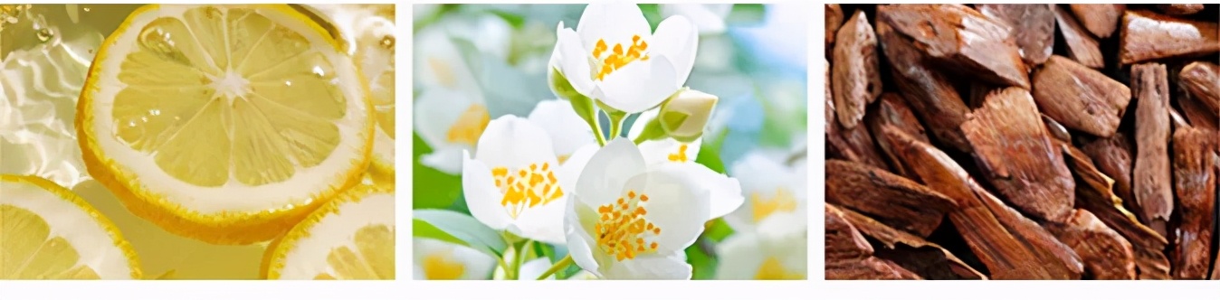 你的车里真好闻！复刻千年国宝的它，随行随香，极雅