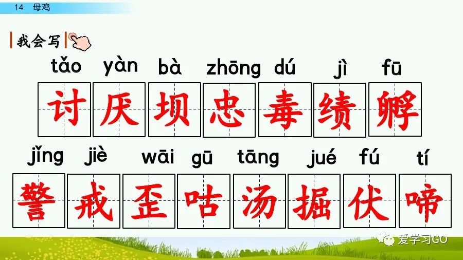 部编版四年级下册15课白鹅解析,部编版四下语文第13课母鸡预习