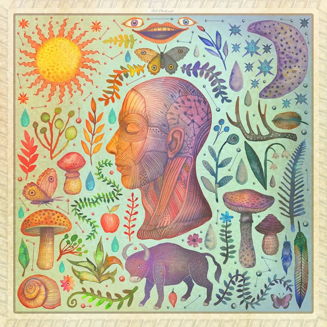 全球插画奖获奖作品集,全球插画大赛2019