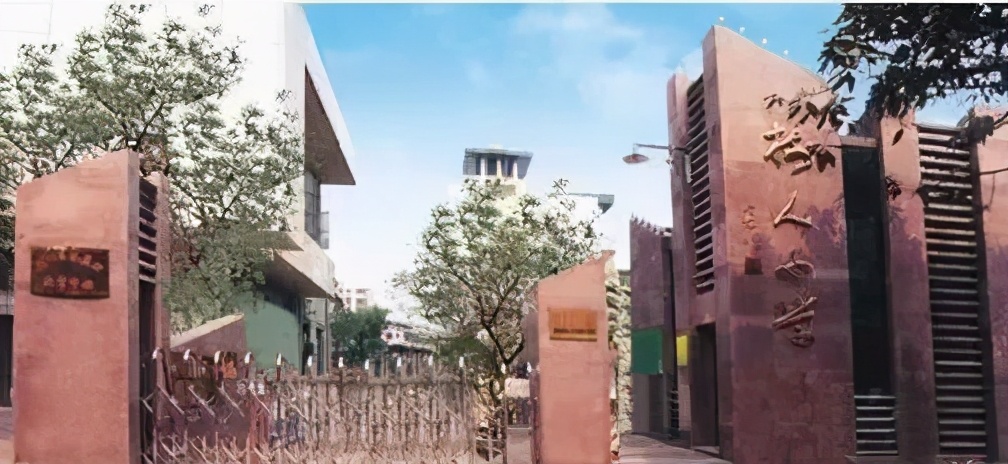 不看你就输了，重庆头部教育大区沙坪坝，这些学校家长值得关注