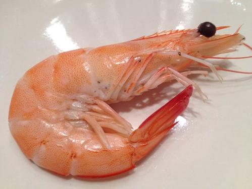 基围虾和明虾是同一种虾吗,基围虾明虾和白对虾哪个好吃