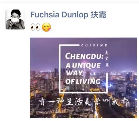 有一种生活美学叫成都短片,成都生活美学视频