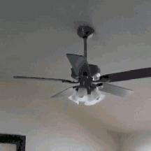 英国首相得新冠是真的吗,英国首相新冠反应