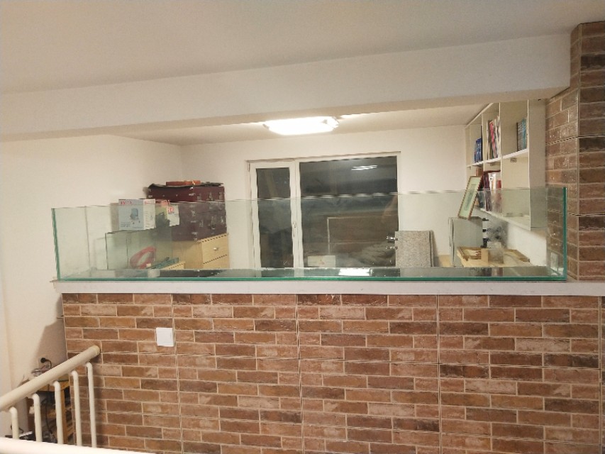 自粘底滤鱼缸过程,自粘鱼缸开缸技巧