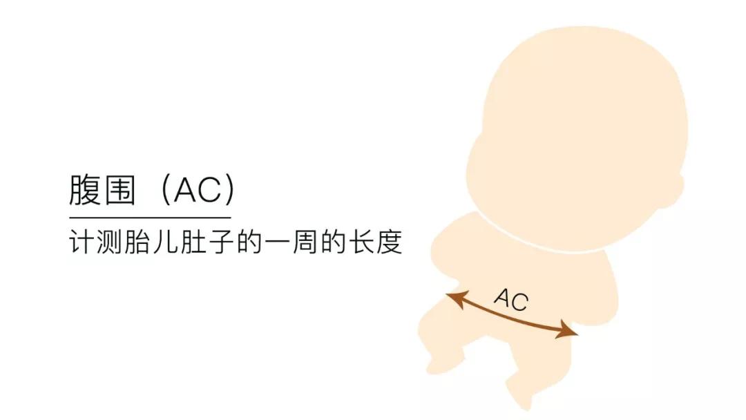 孕期到底需要做几次B超？B超/彩超/三维/四维的区别及选择