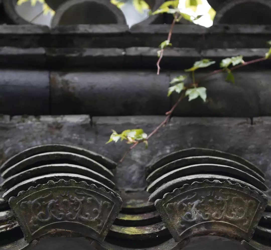 绍兴最美古镇排名,绍兴十大最美乡村