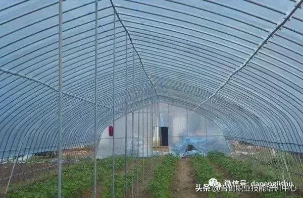 建一个温室大棚大概需要多少人工,温室大棚建造前景