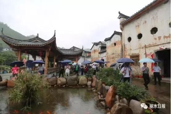 红色新丽水,红色浙西南央视