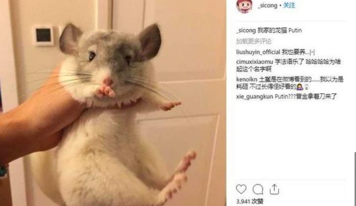 王思聪带女友买奢侈品,王思聪带神秘女朋友逛街