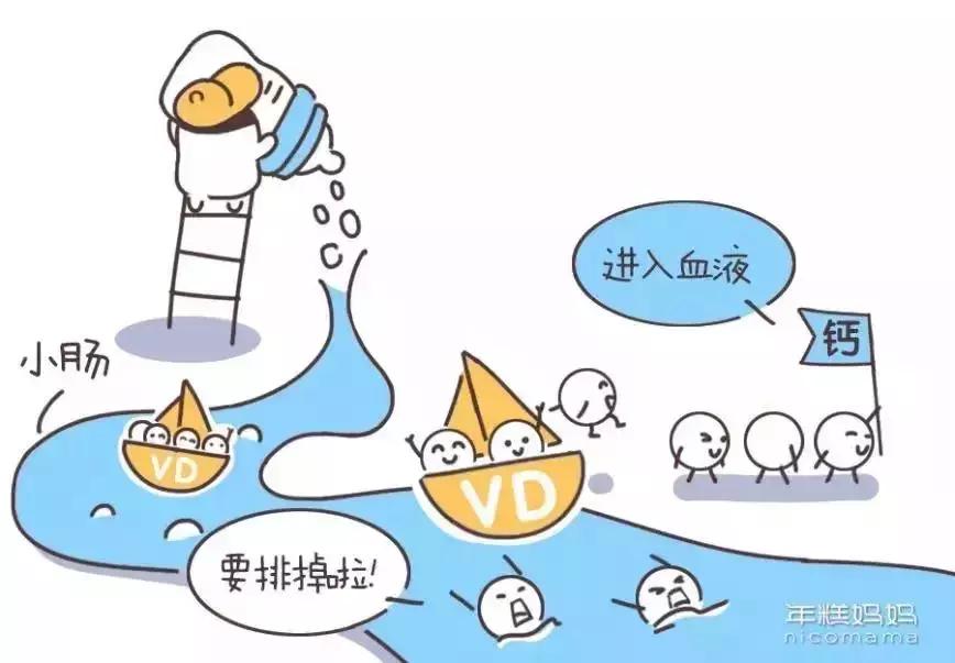 孕期补钙不妨看看这些小知识,孕期补钙需要注意什么科普