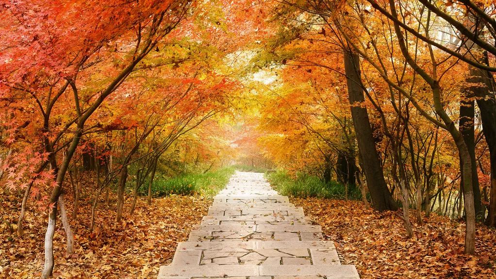 2019旅行必备清单,2022年flag清单