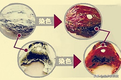 马来西亚燕窝辨别真假,雨季燕窝怎么辨别真假