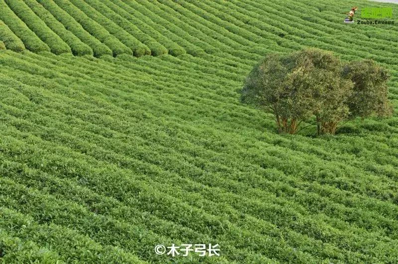 姊呭窞鍐棩鏅偣,涓栫晫闀垮涔嬮兘姊呭窞