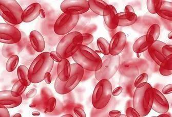 狗狗突发严重贫血,狗狗拉稀几天贫血