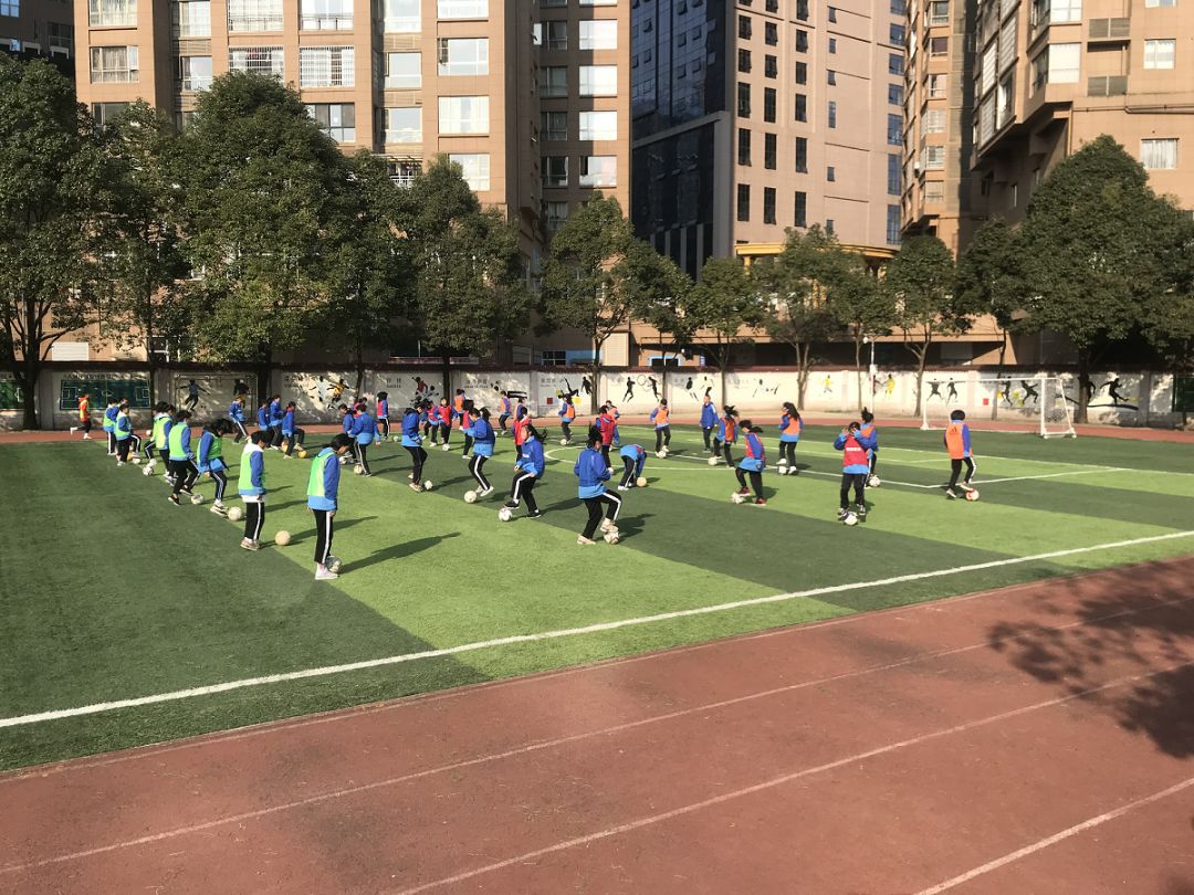 群文阅读学习研讨会简报,群文阅读教学专题研讨会