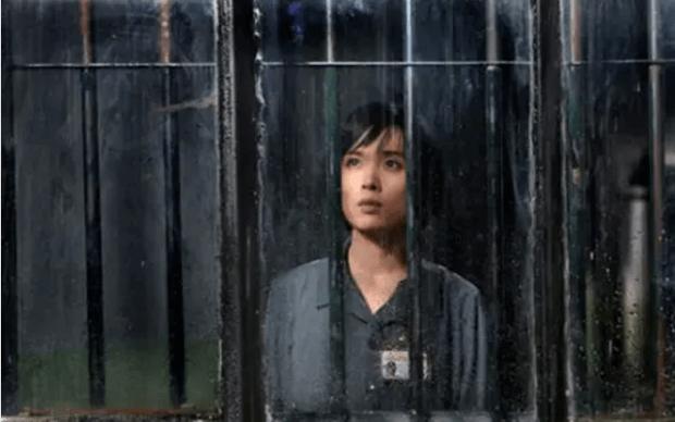 李佳几岁嫁给靳东,李佳嫁靳东前有孩子吗