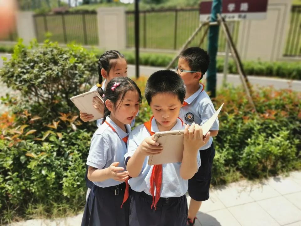 琅小最新分校进驻南京南大门！“国优教师”校长领衔