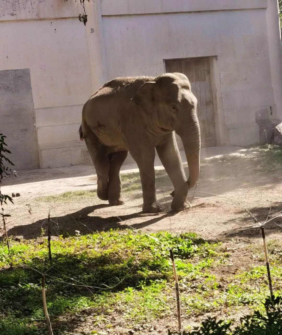 北京动物园图记,漫步北京动物园