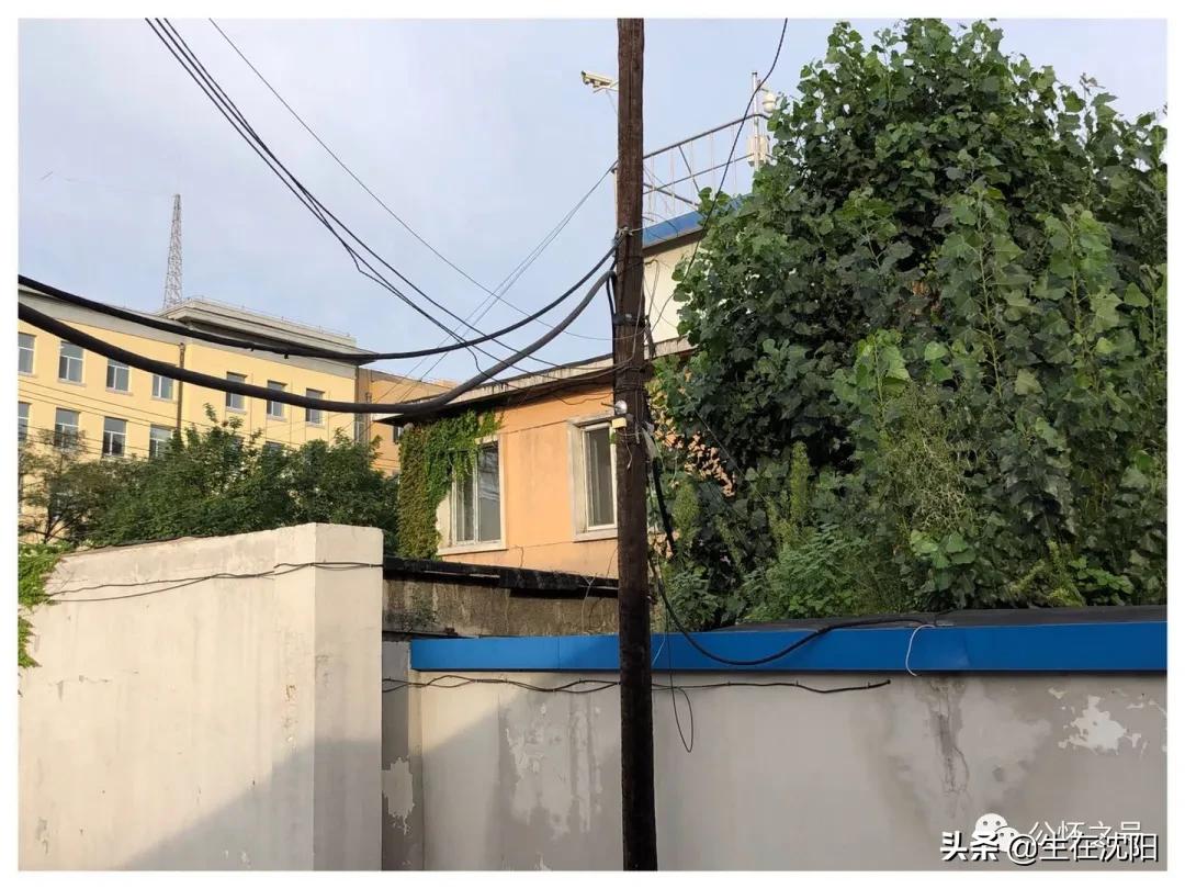 大沈阳岁月钩沉-春日公园水源地