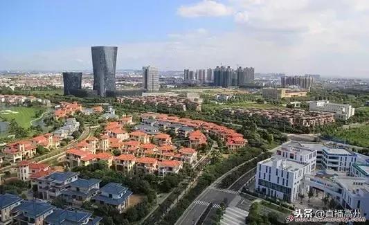 高州特色村镇,高州最大的小镇