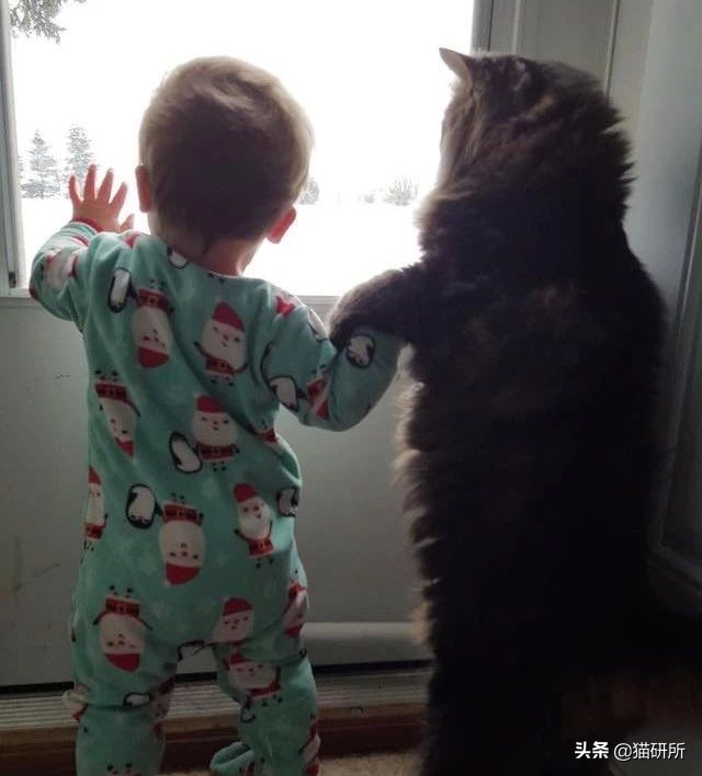 腹泻十几次最快的治疗方法,腹泻有五年应该怎样治疗