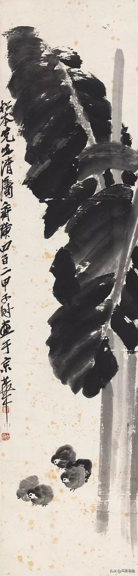 流光容易把人抛绿了芭蕉赏析,流光容易把人抛红了海棠绿了芭蕉