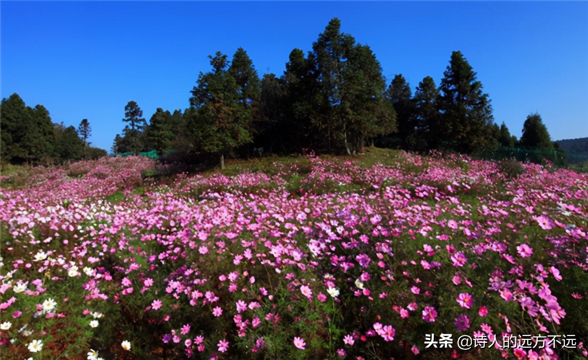 仙女山机场时刻表,重庆武隆仙女山机场航班时刻表