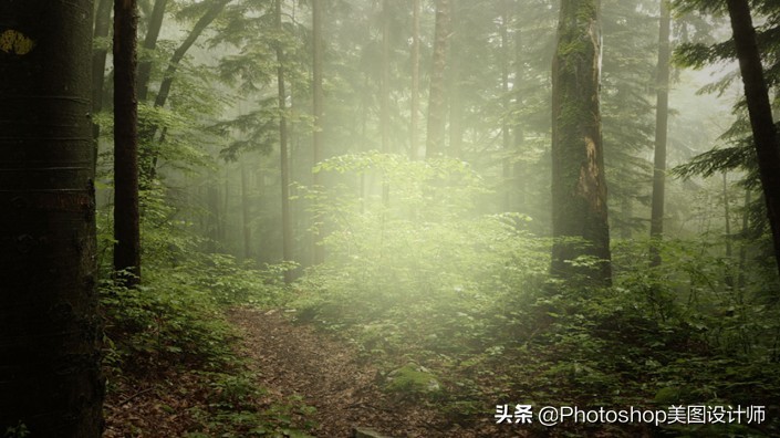 新手怎么快速学会ps,新手如何学习ps