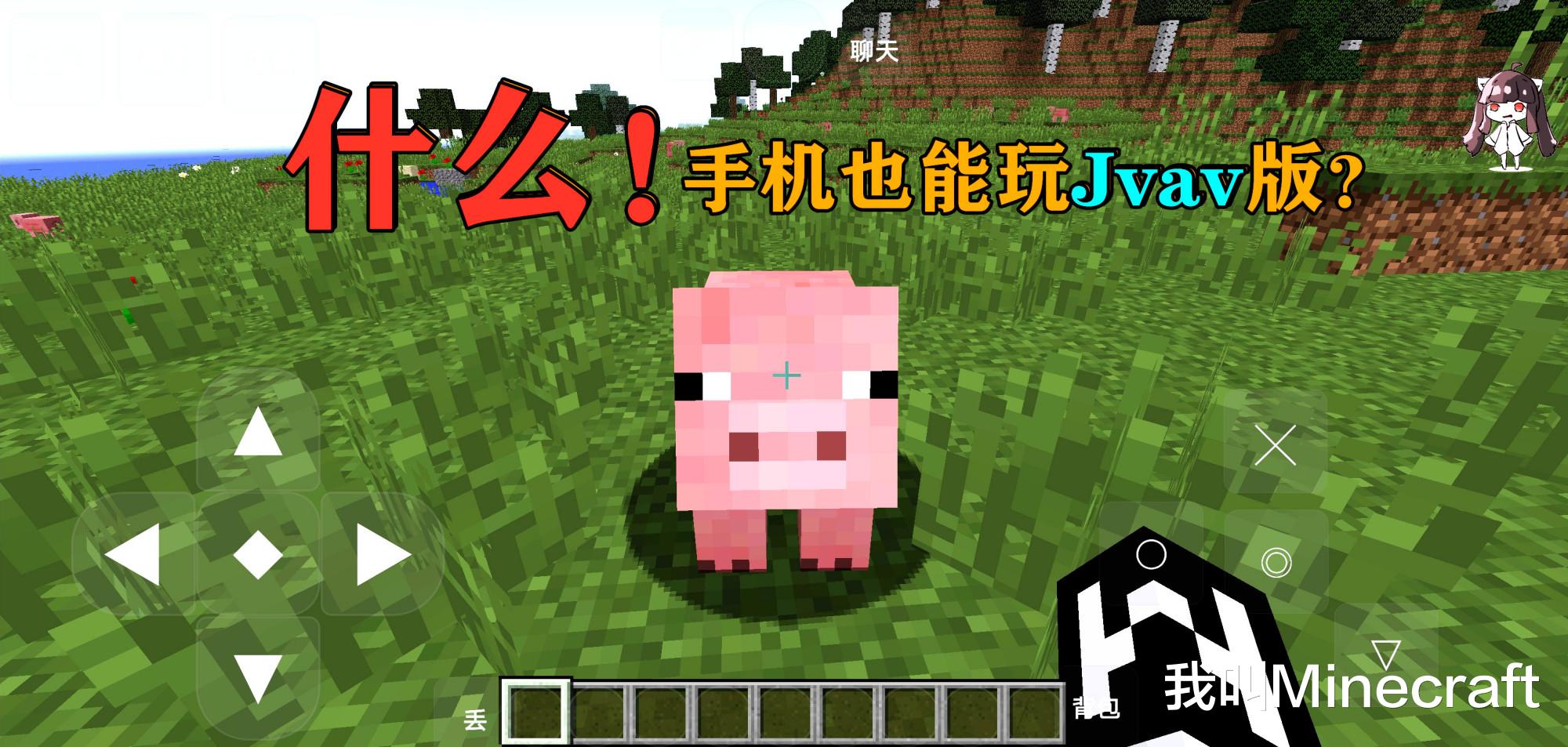 我的世界手机版如何开启xray,我的世界手机版萌新通关mc教程