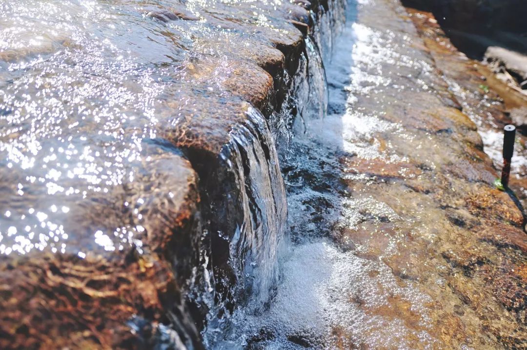 浙江杭州民宿3天二晚,浙江浦江登高村春社民宿