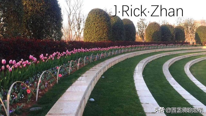 怎样种植草坪技术,果岭草坪的种植养护方法及技巧