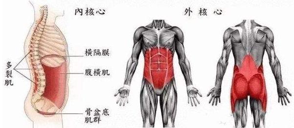 健身教练初学者必看,新入门健身教练推荐书籍