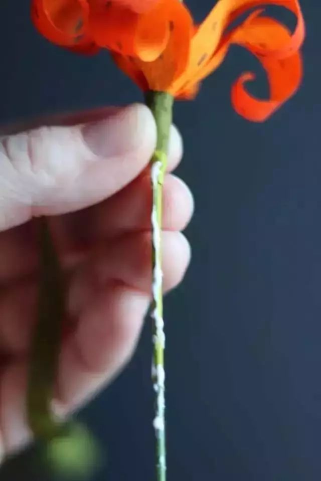 银杏叶手工花贴画幼儿园简单,彩色皱纹纸怎么做手工花幼儿园