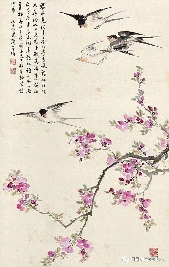 日出闻鸟声,晨起闻鸟语